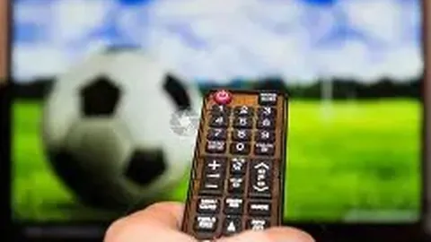 金贝娱乐 产品 003456 cvk