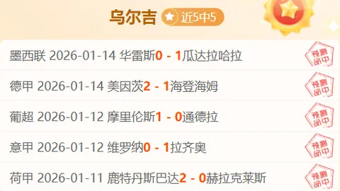 中新电竞对话北京WB战队暖阳：共同探索之旅