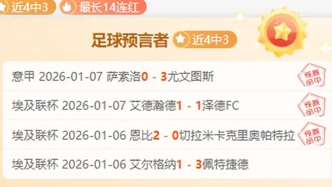 沈阳铁西体育场升级为专业足球场，四万座场馆成城市新亮点